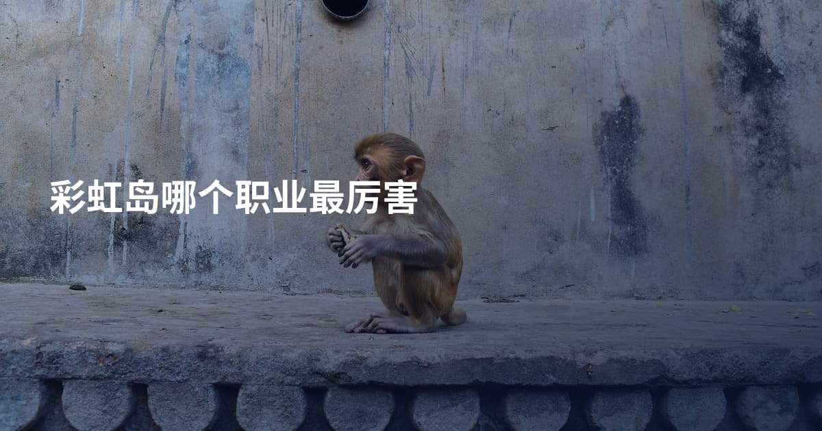 彩虹岛哪个职业最厉害