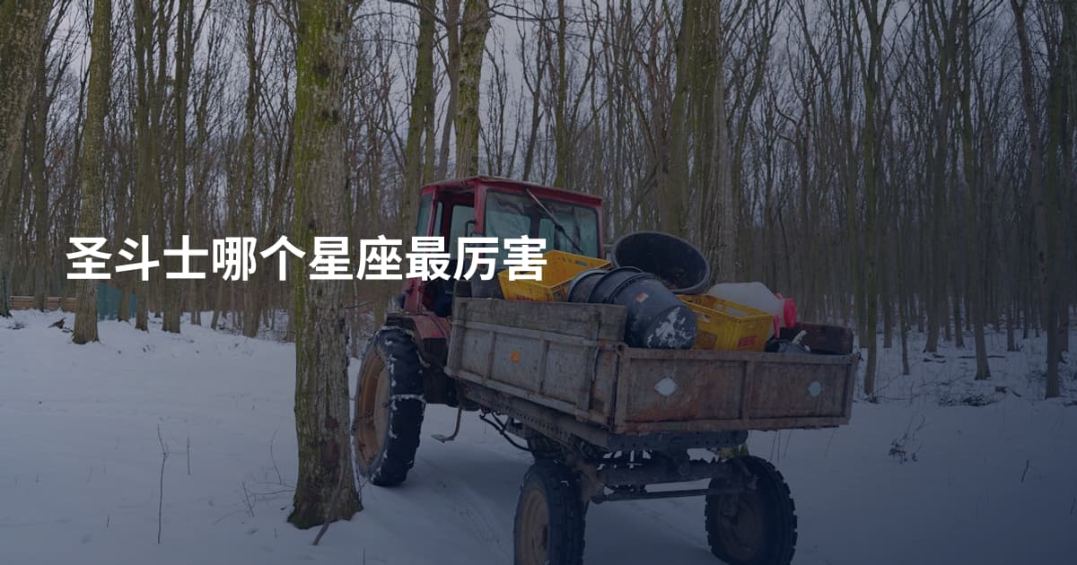 圣斗士哪个星座最厉害