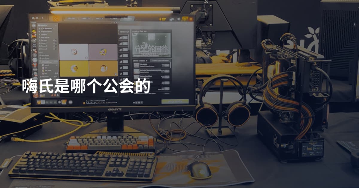 嗨氏是哪个公会的