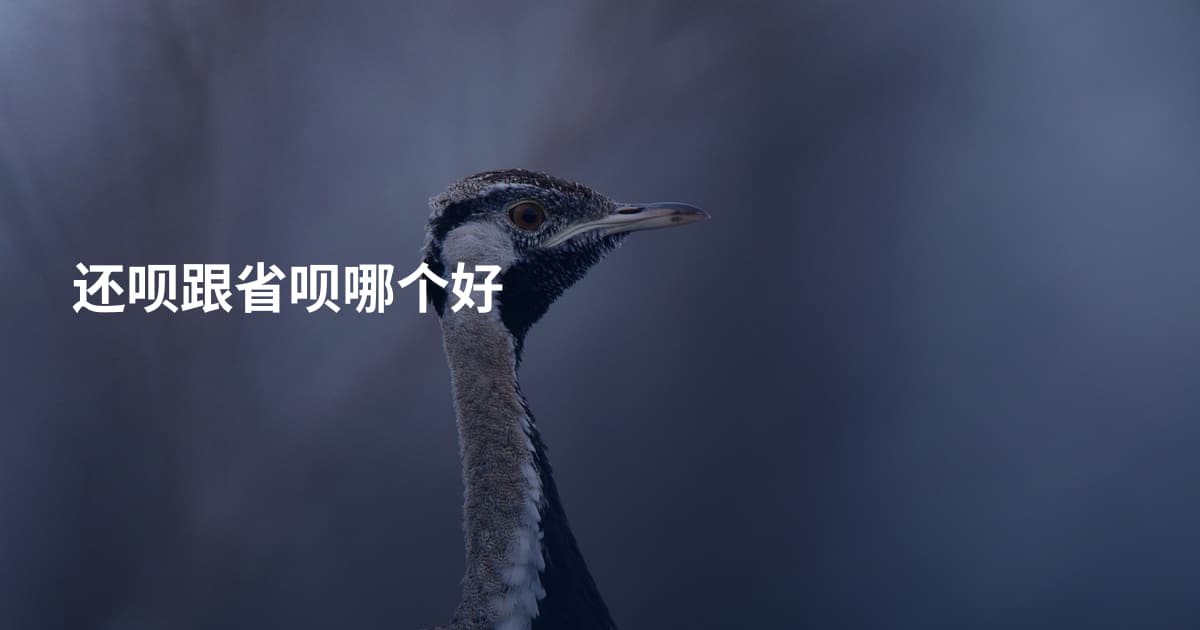 还呗跟省呗哪个好