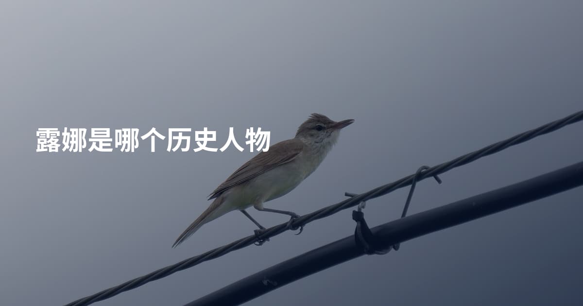 露娜是哪个历史人物