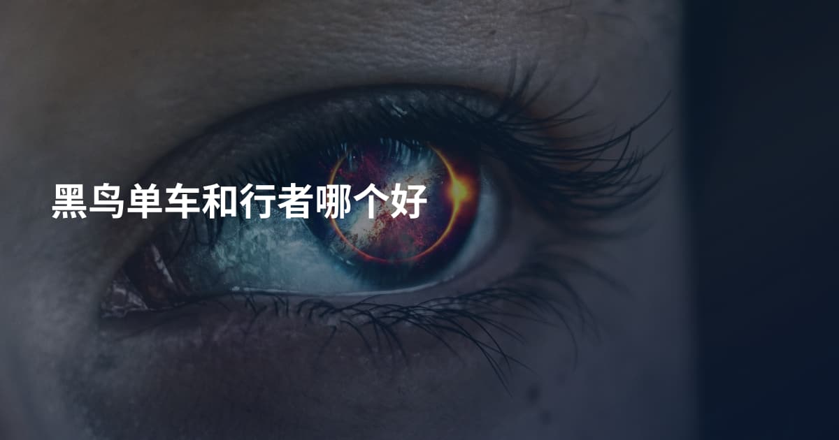 黑鸟单车和行者哪个好