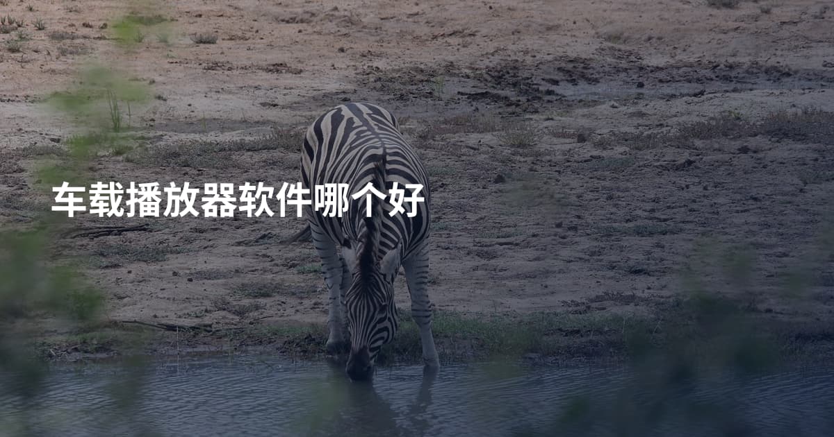 车载播放器软件哪个好
