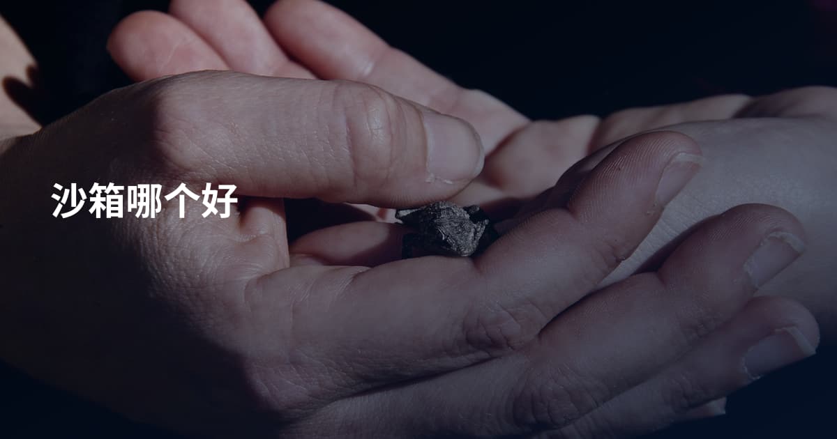 沙箱哪个好