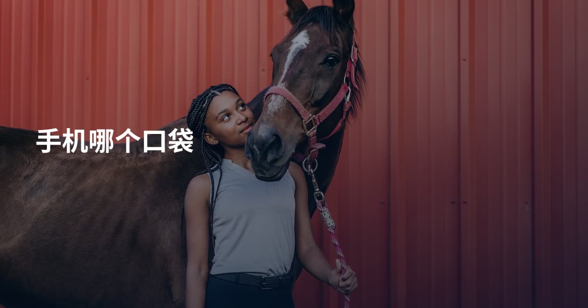 手机哪个口袋