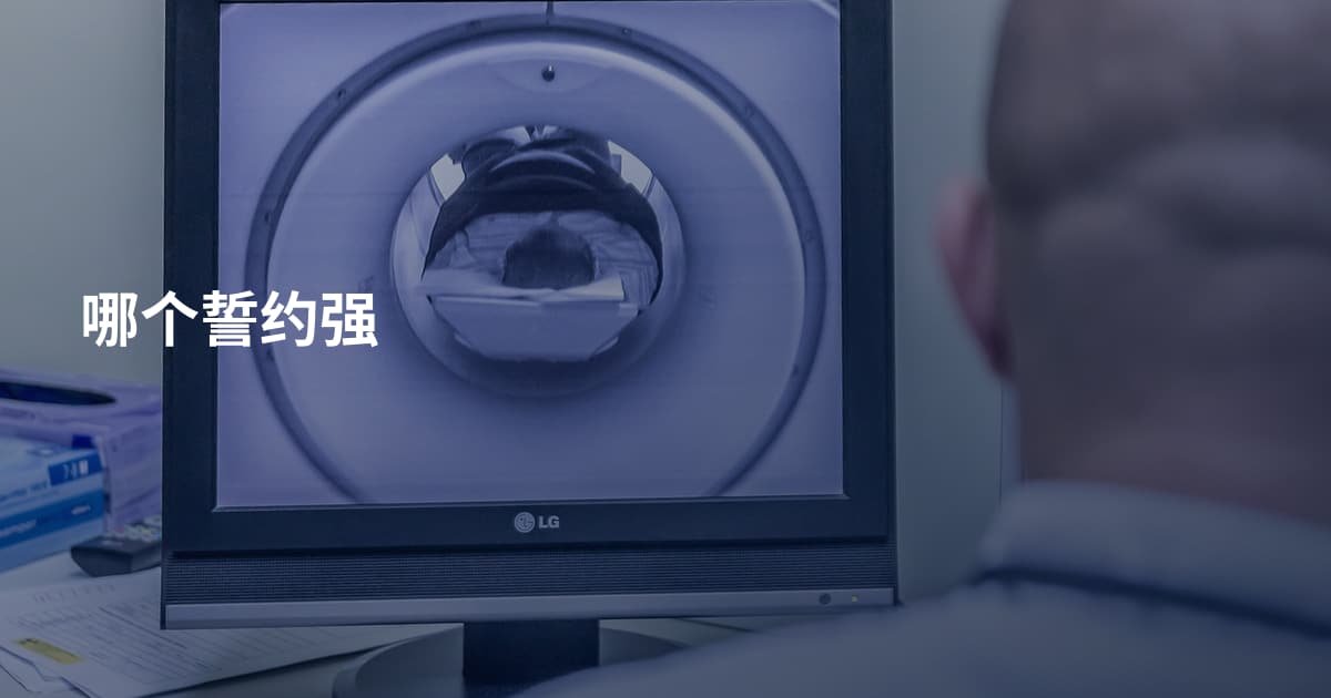 哪个誓约强
