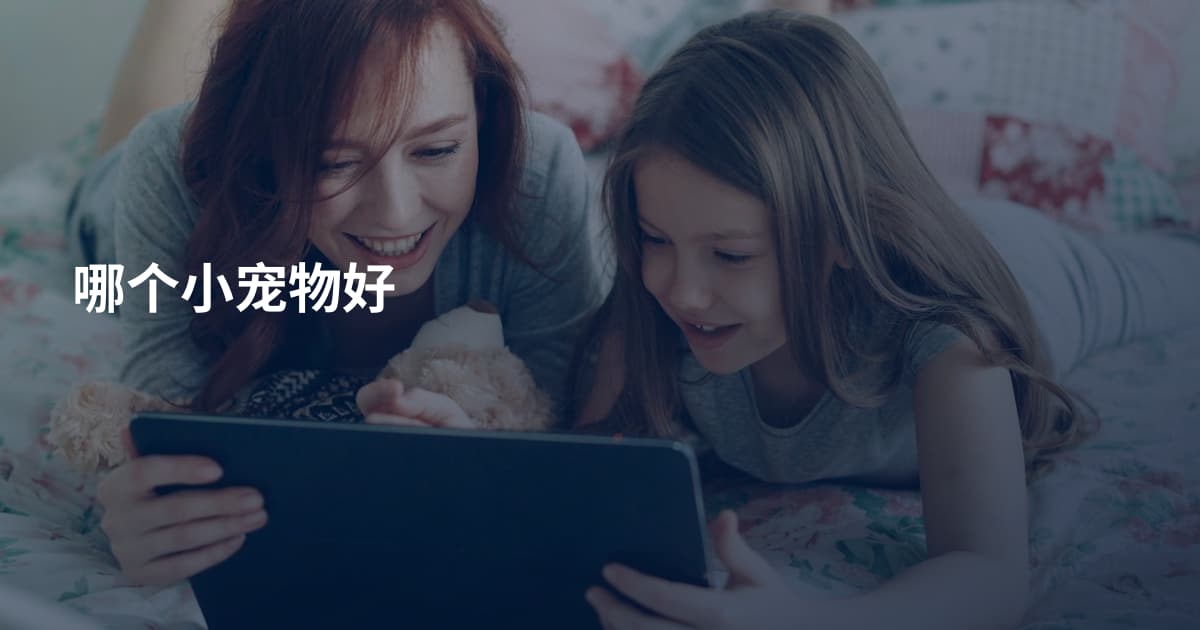 哪个小宠物好