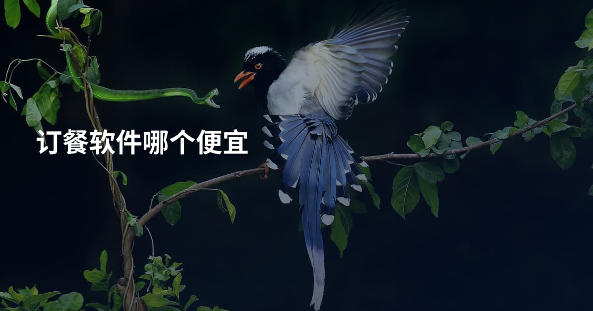 订餐软件哪个便宜
