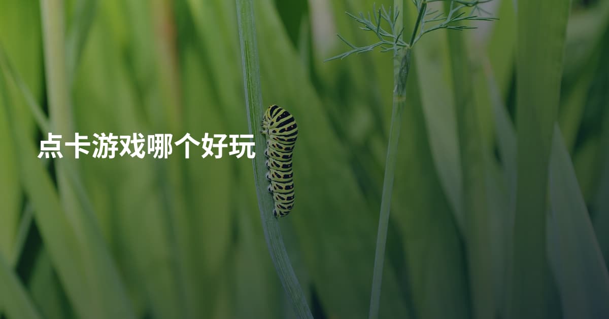 点卡游戏哪个好玩