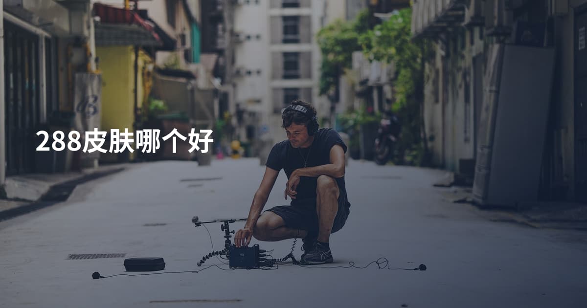 288皮肤哪个好