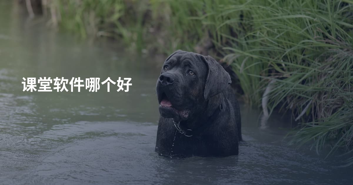 课堂软件哪个好