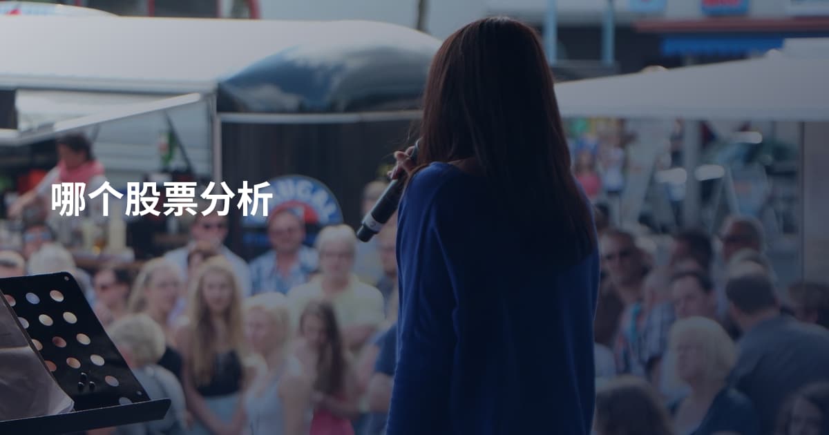 哪个股票分析