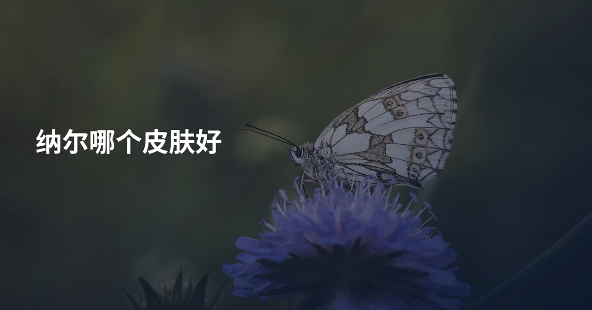 纳尔哪个皮肤好