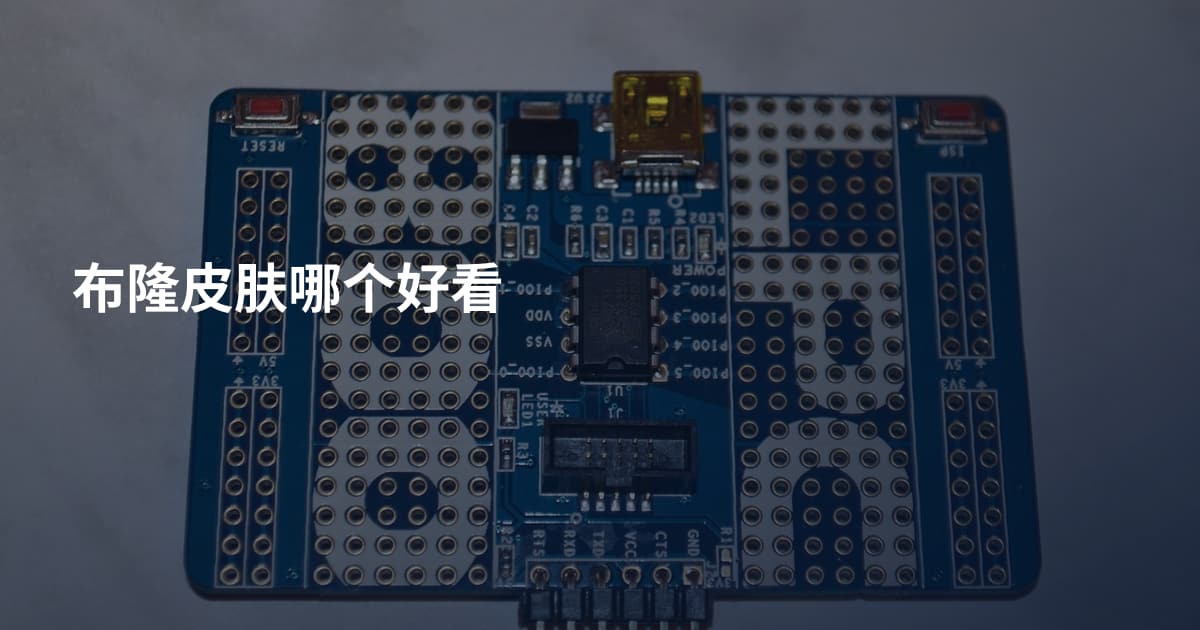 布隆皮肤哪个好看