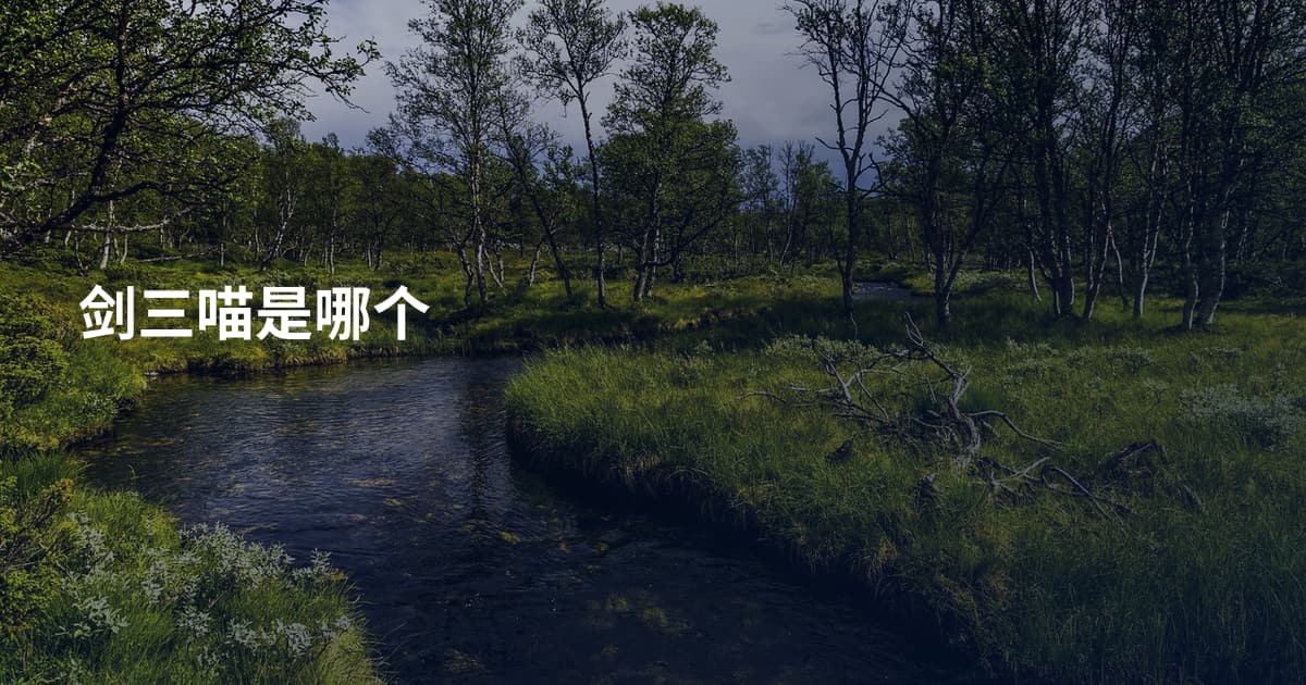 剑三喵是哪个