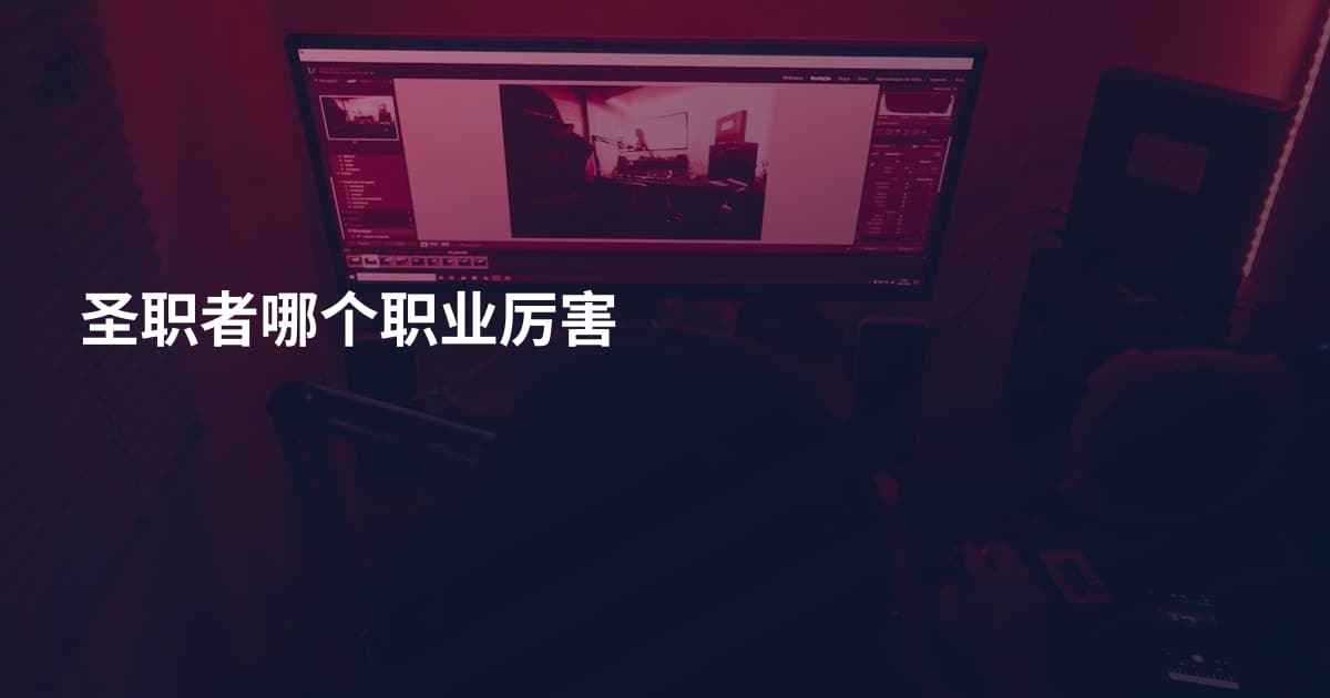 圣职者哪个职业厉害