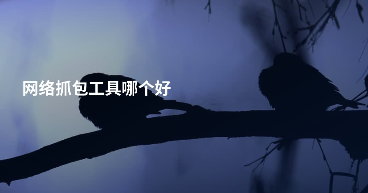 网络抓包工具哪个好