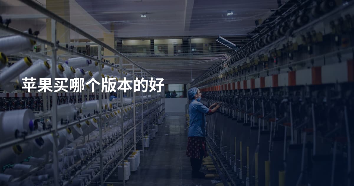 苹果买哪个版本的好