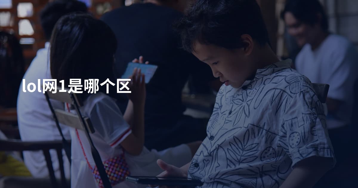 lol网1是哪个区