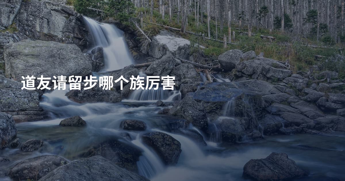 道友请留步哪个族厉害