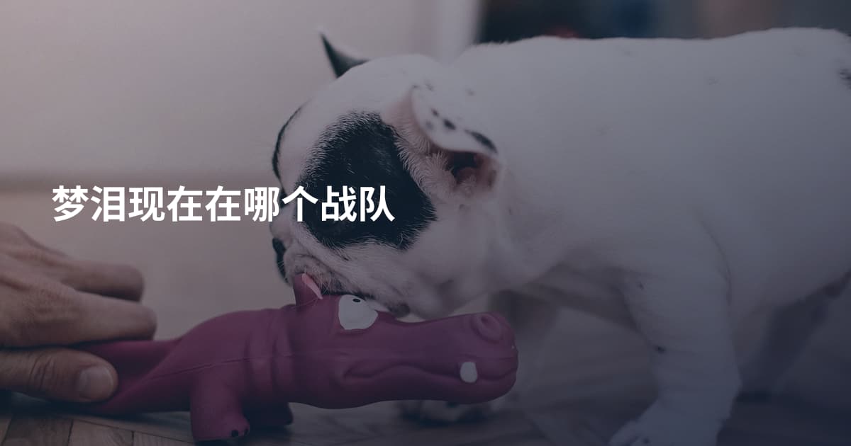 梦泪现在在哪个战队