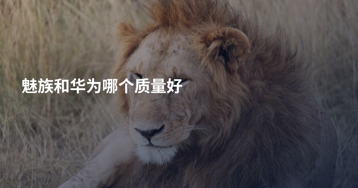 魅族和华为哪个质量好