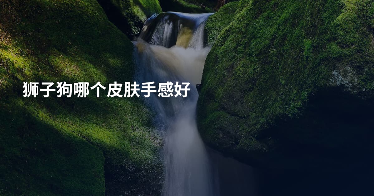 狮子狗哪个皮肤手感好