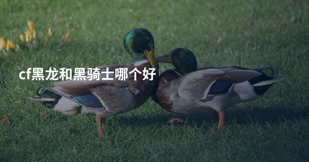 cf黑龙和黑骑士哪个好