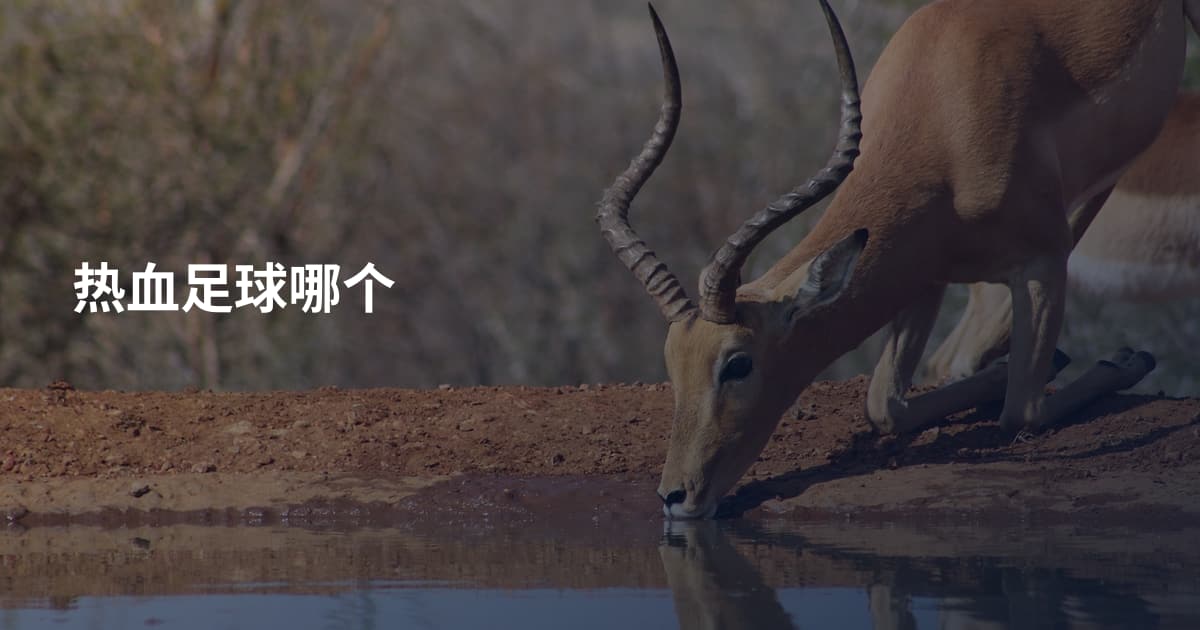 热血足球哪个