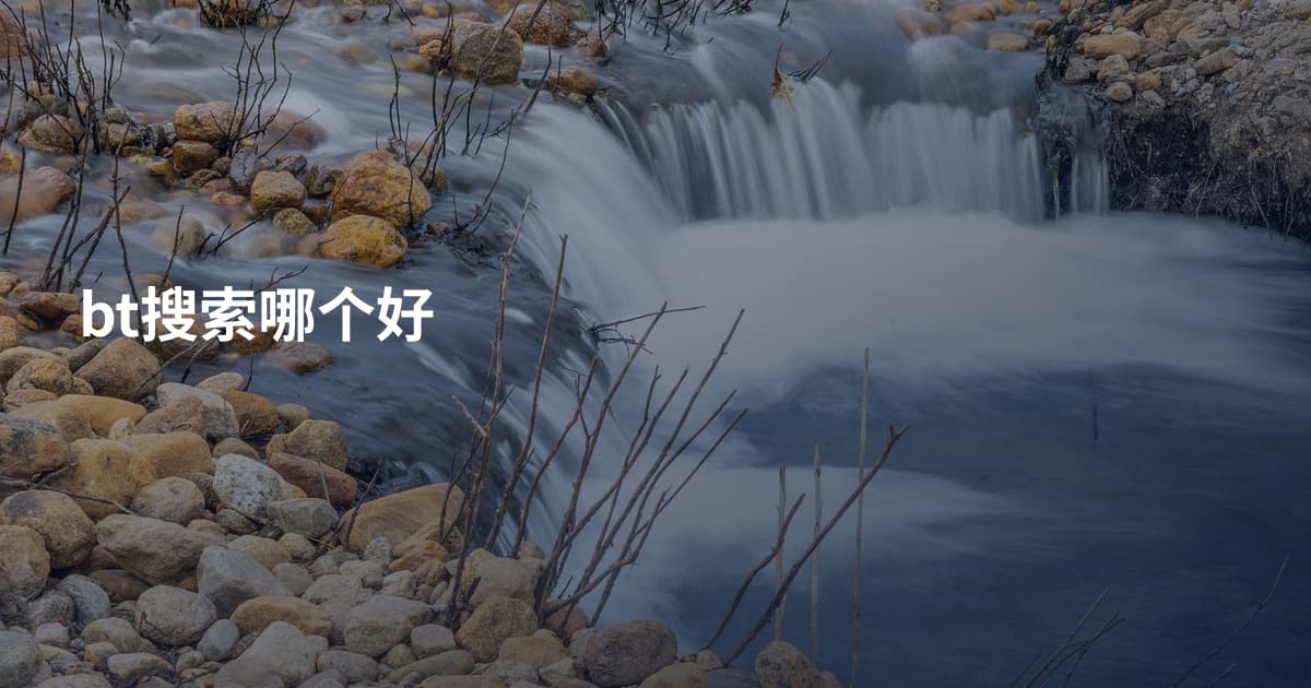 bt搜索哪个好