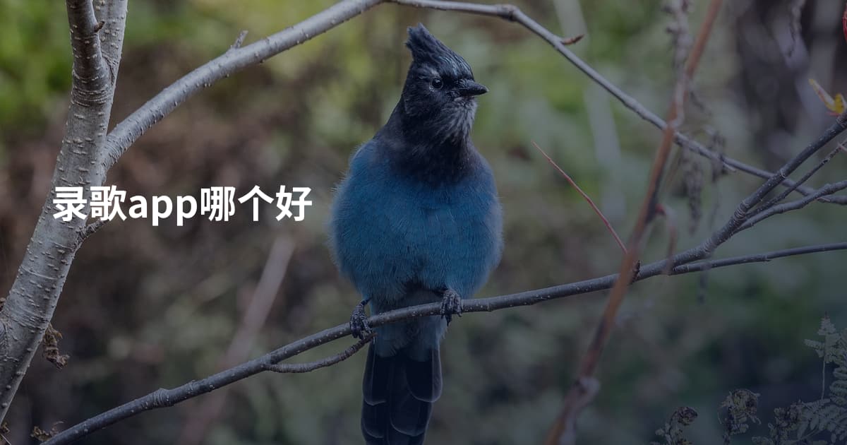 录歌app哪个好