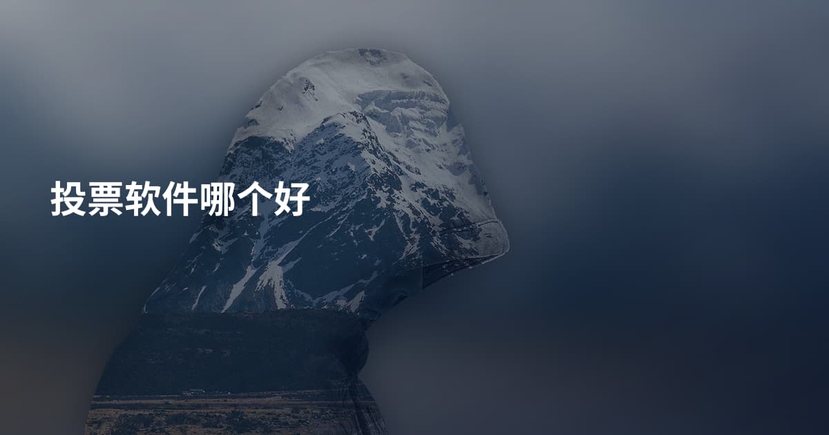 投票软件哪个好