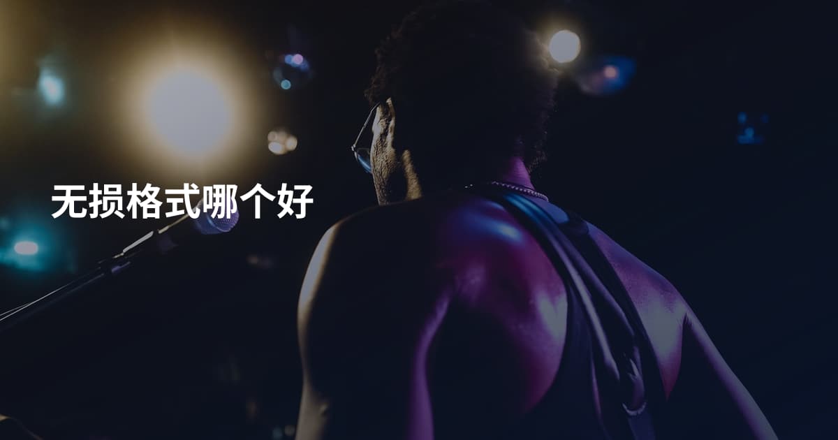无损格式哪个好