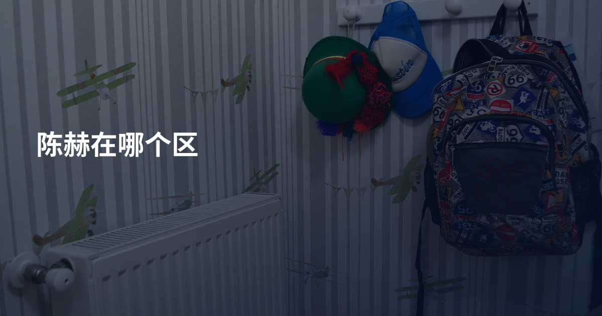 陈赫在哪个区