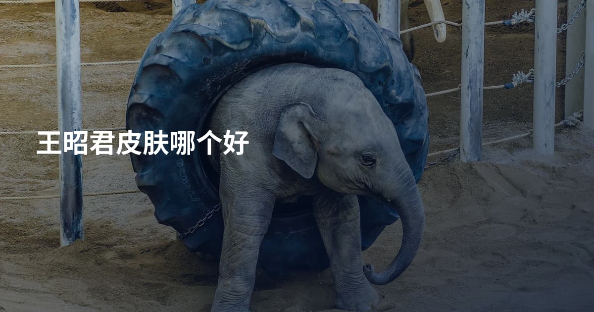王昭君皮肤哪个好