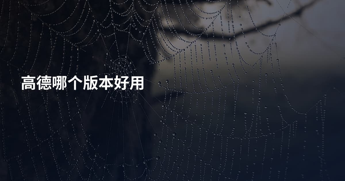 高德哪个版本好用