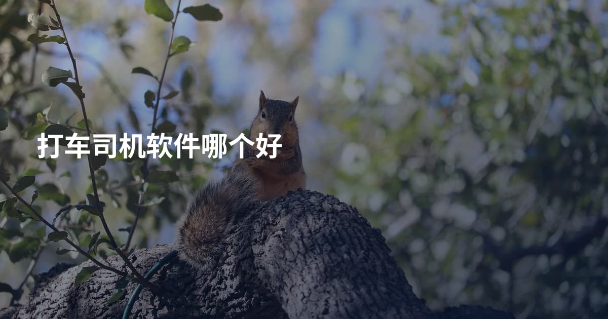 打车司机软件哪个好