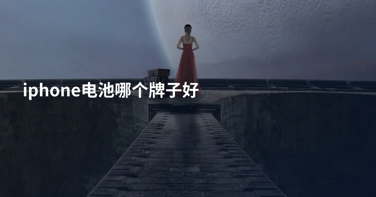 iphone电池哪个牌子好