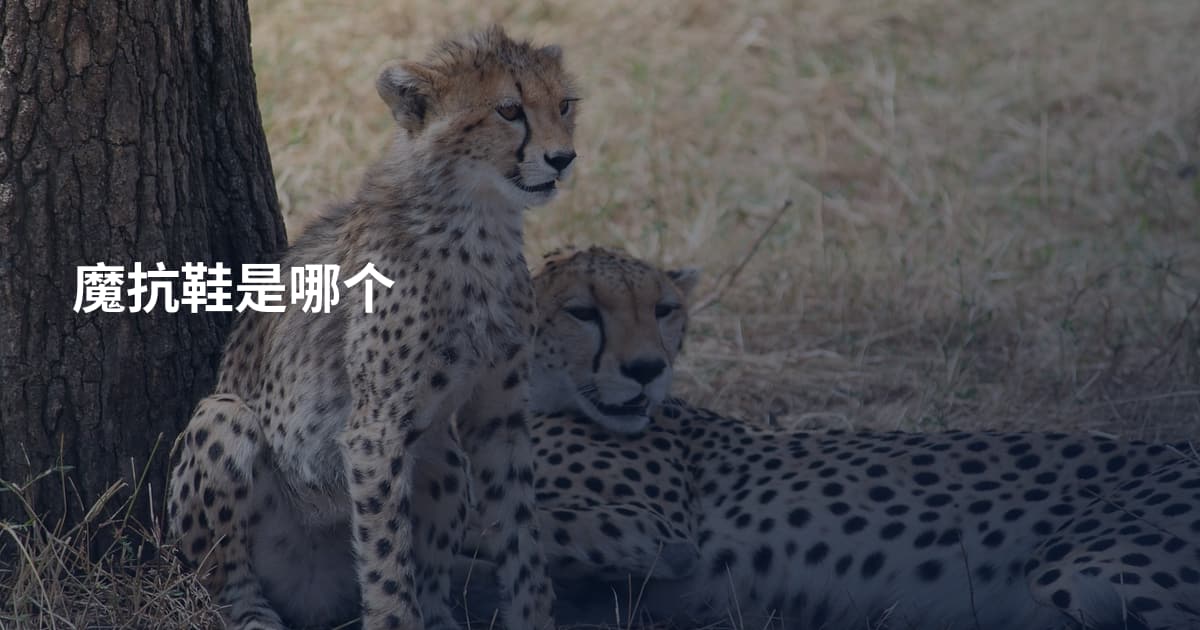 魔抗鞋是哪个