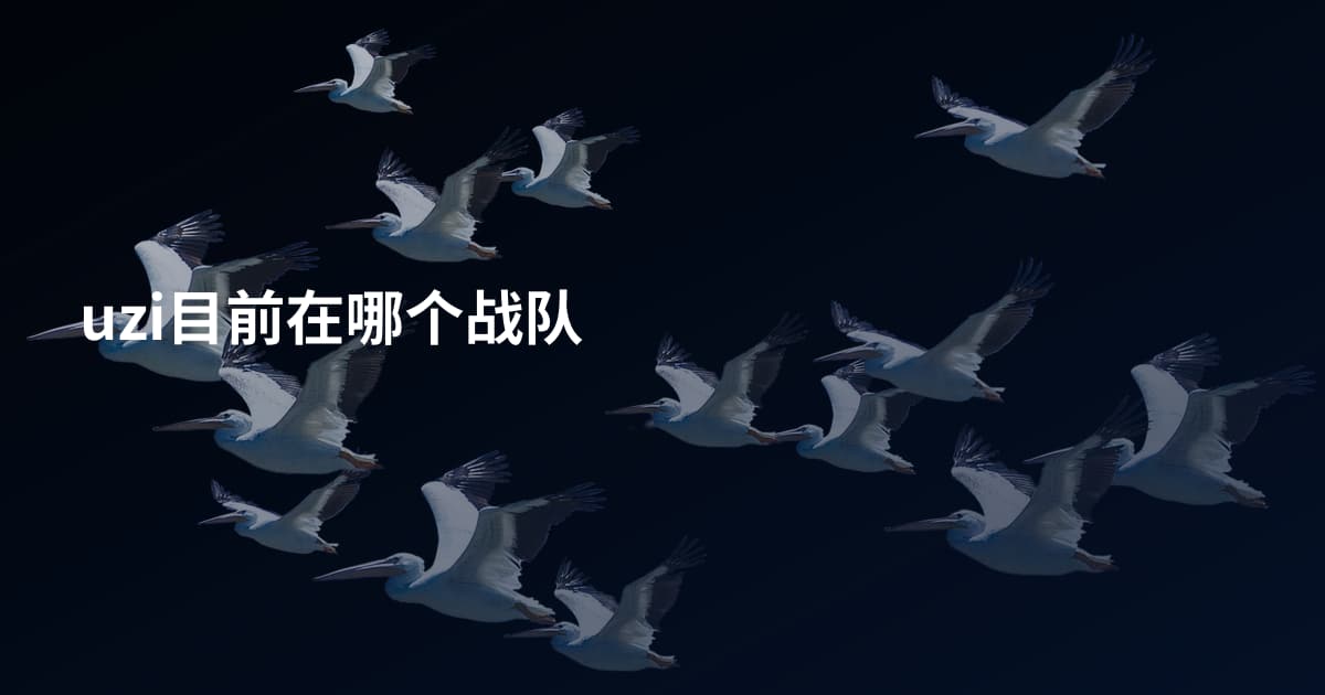 uzi目前在哪个战队
