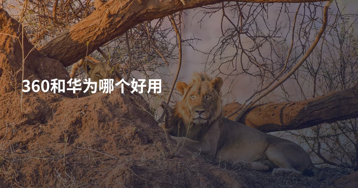 360和华为哪个好用