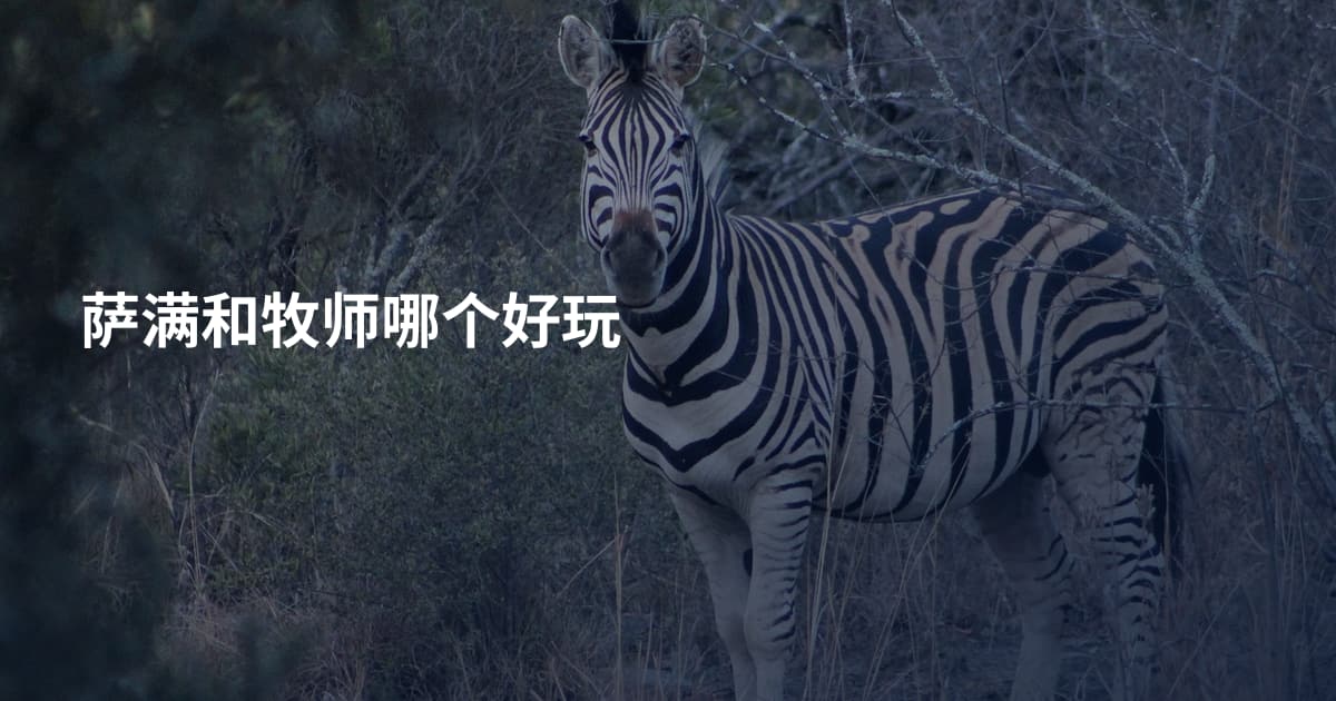 萨满和牧师哪个好玩