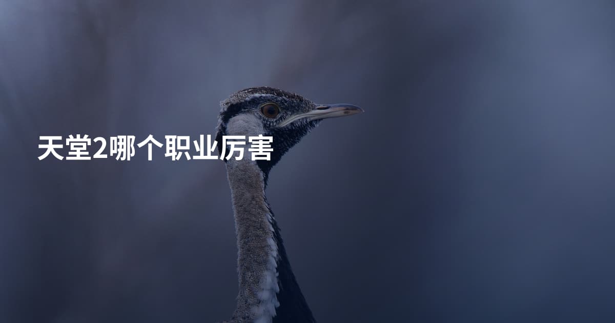 天堂2哪个职业厉害