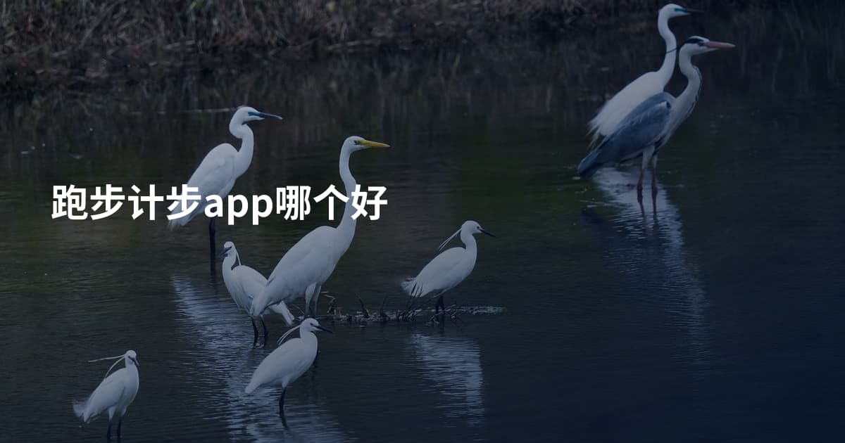 跑步计步app哪个好