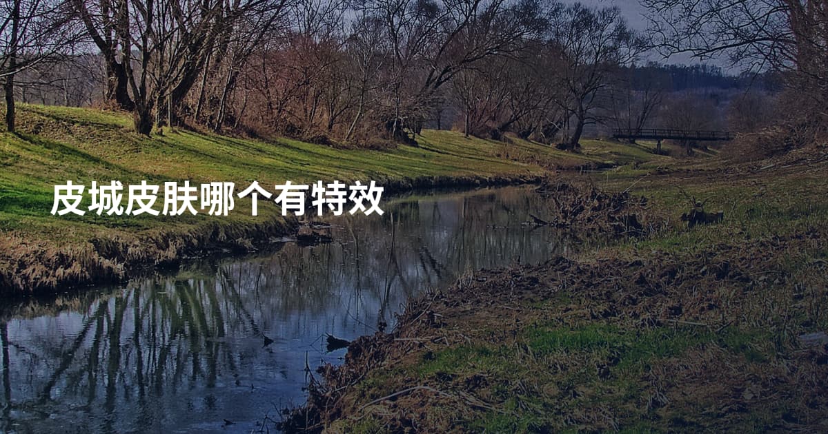 皮城皮肤哪个有特效