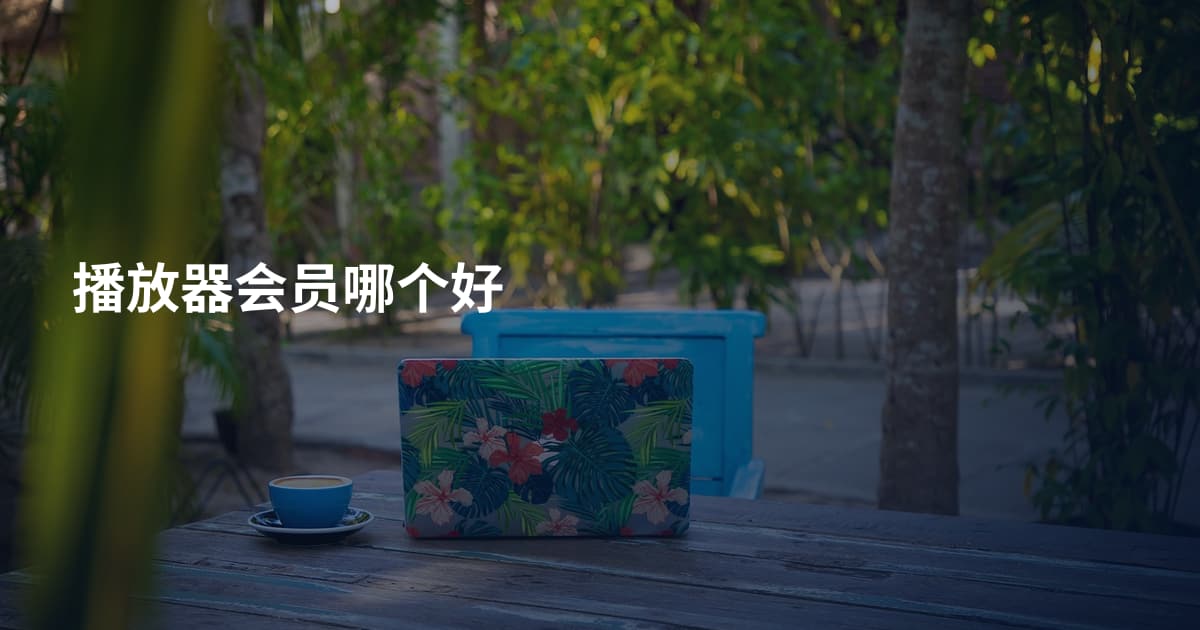播放器会员哪个好