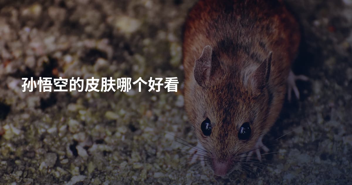 孙悟空的皮肤哪个好看