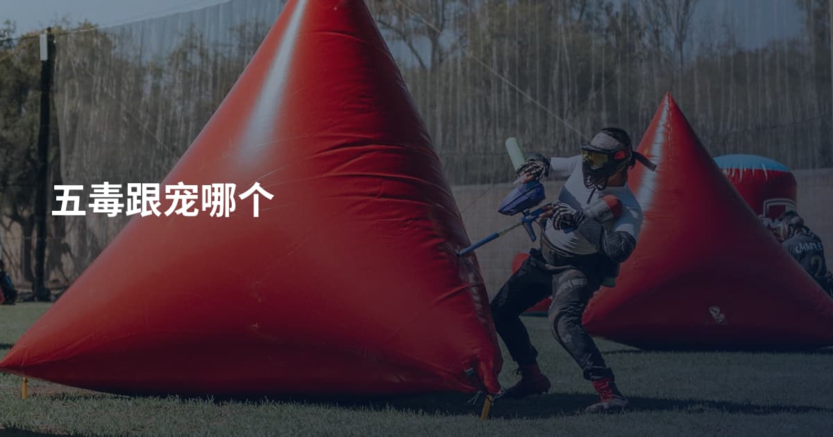 五毒跟宠哪个