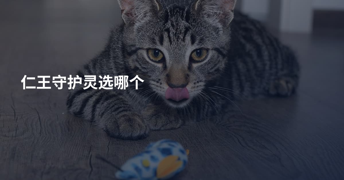 仁王守护灵选哪个