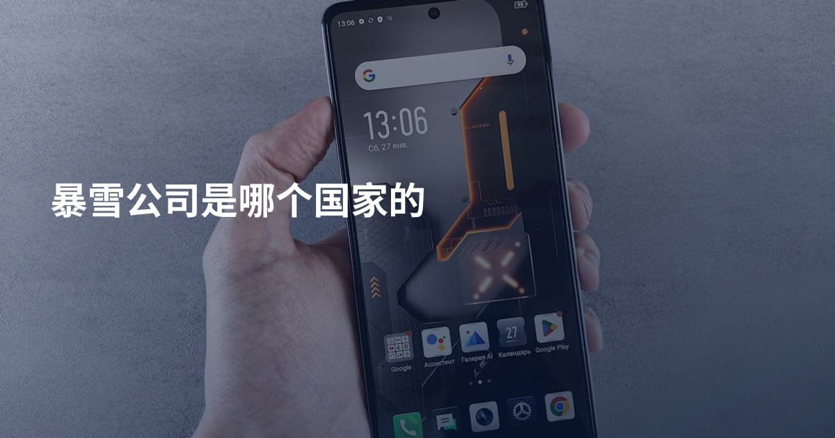 暴雪公司是哪个国家的